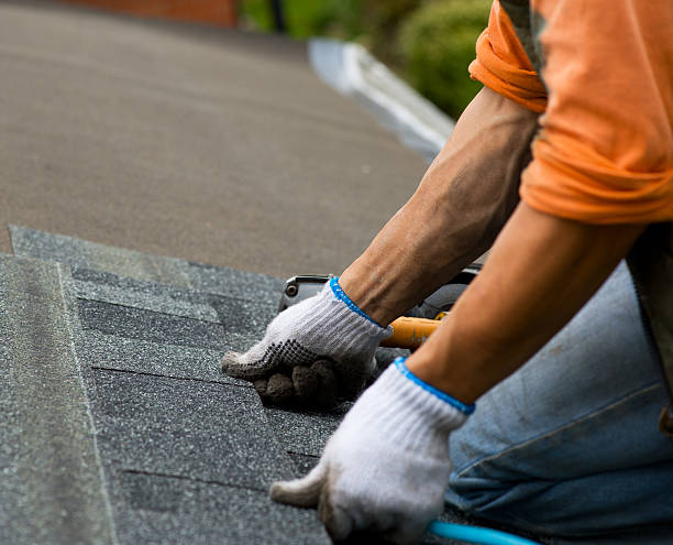 Best Roof Gutter Cleaning  in Randleman, NC