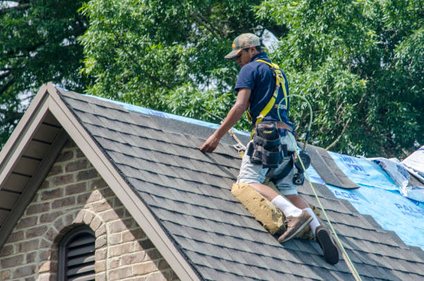 Roof Gutter Cleaning in Randleman, NC